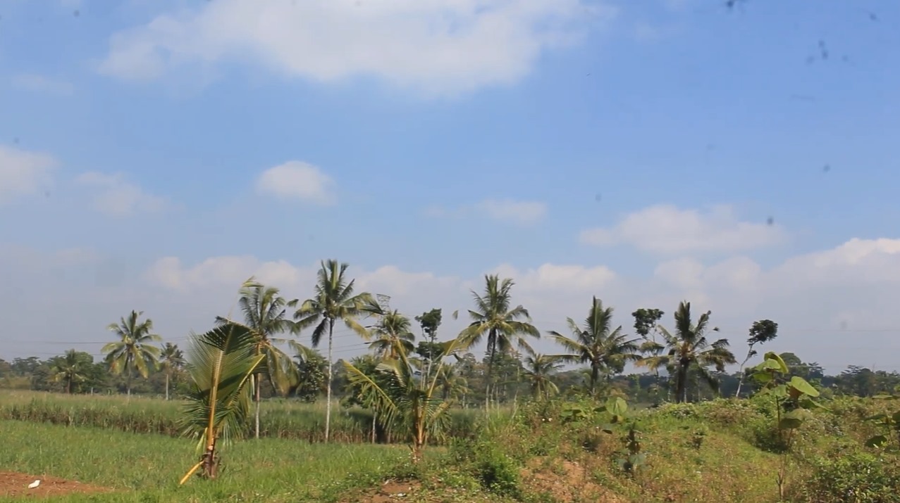 Kontak